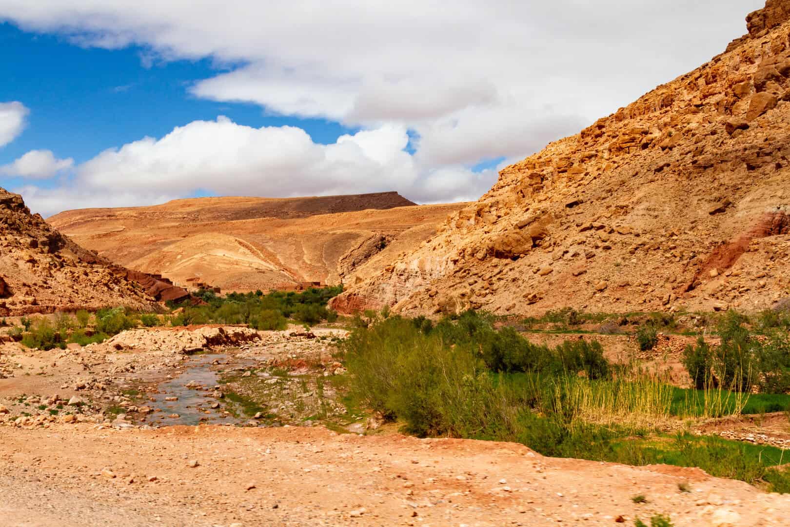 Meteo Marocco oggi: esplosione di vegetazione dopo piogge torrenziali storiche
