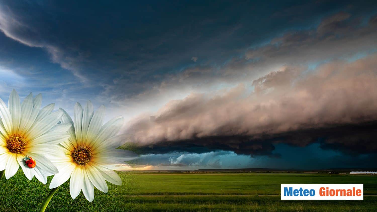 Pesante ALLERTA METEO in arrivo su queste 7 Regioni: ecco la data