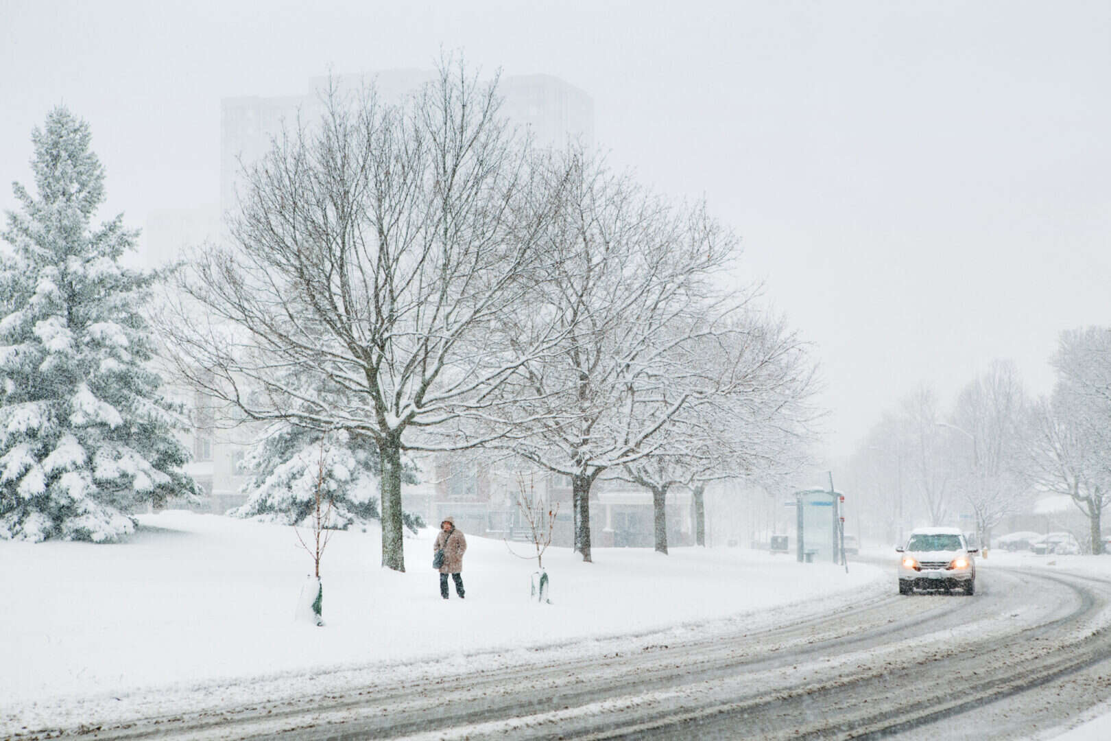 Meteo Canada, Alberta: neve abbondante in arrivo fino a 25 centimetri
