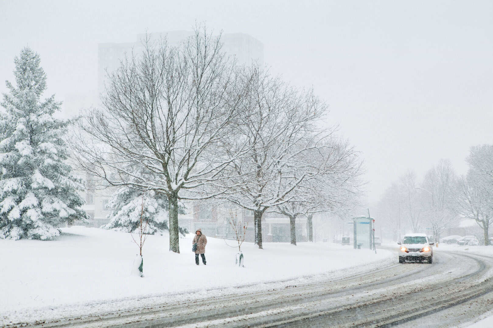 Meteo Canada, Alberta: neve abbondante in arrivo fino a 25 centimetri