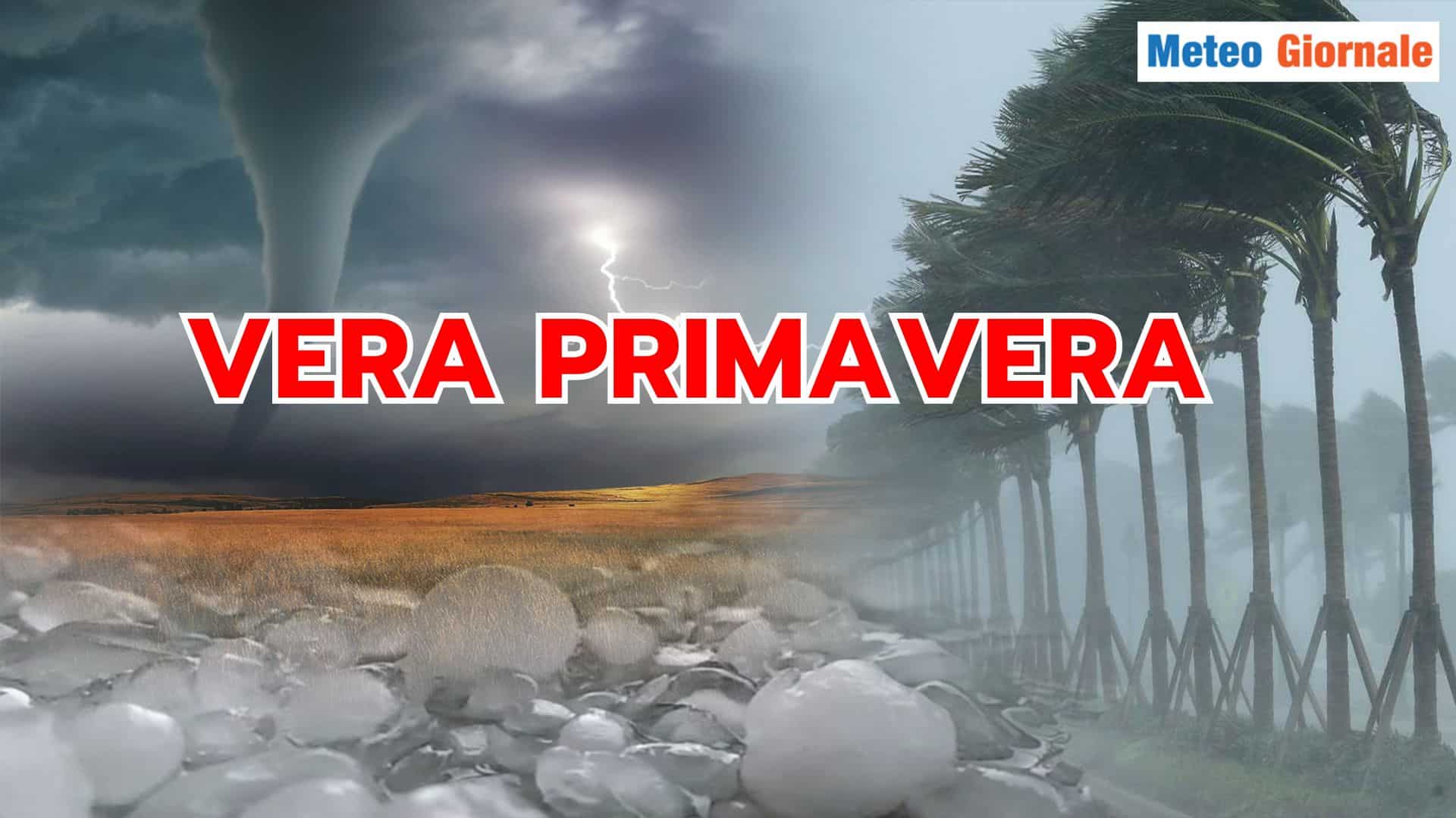 Questo è il vero Meteo di PRIMAVERA. O forse no...