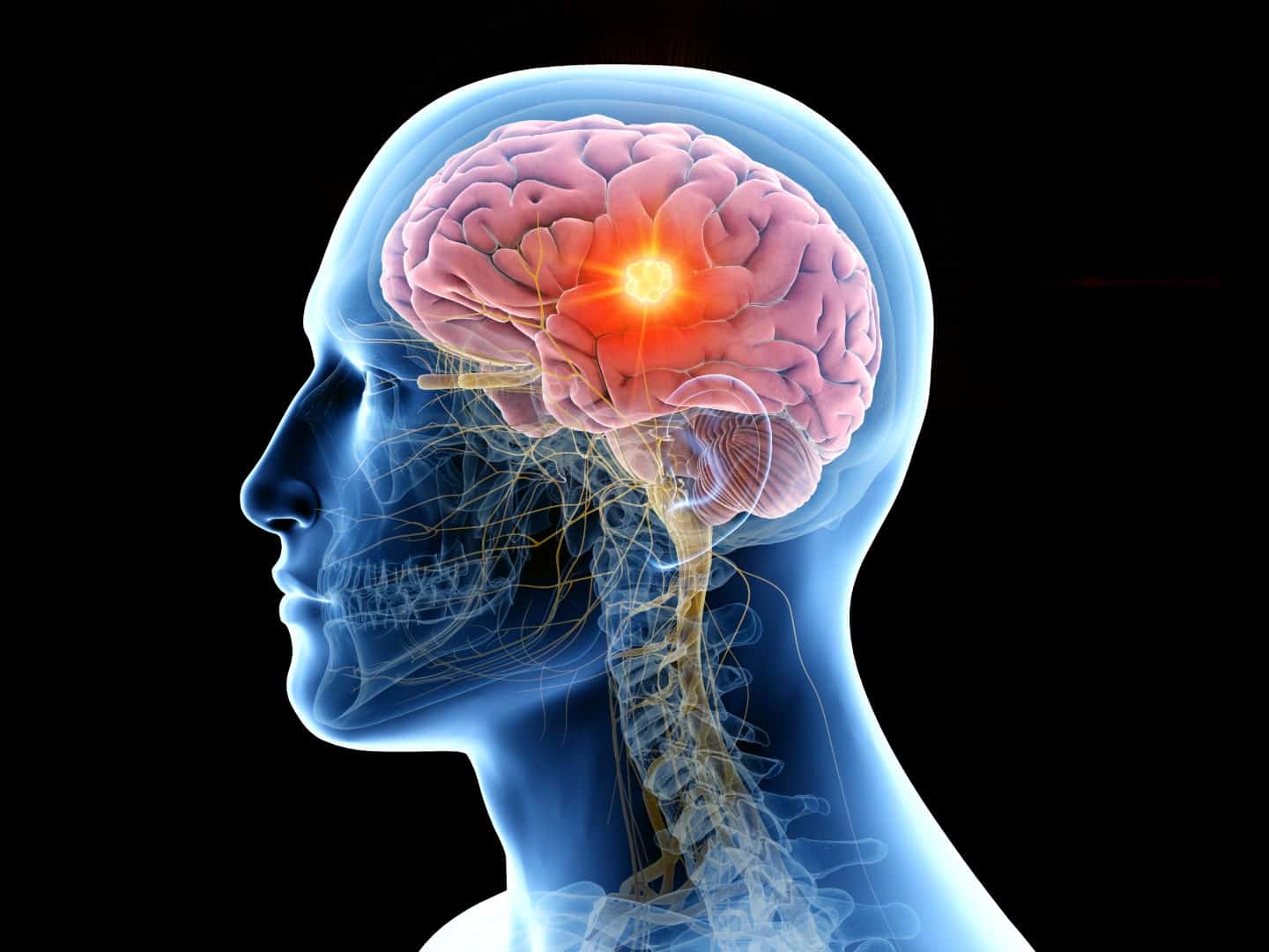 Come ridurre l’invecchiamento. Scoperti tre stadi nel cervello associati al metabolismo