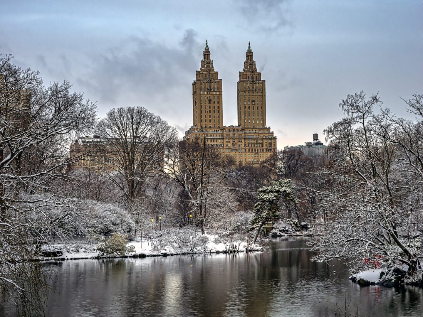 Meteo New York: gelo improvviso e rischio per le piante