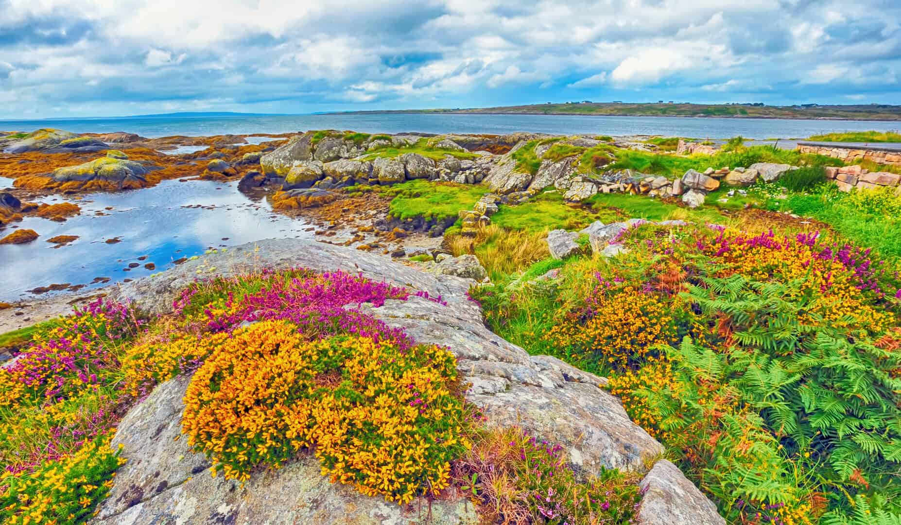 Meteo Irlanda: allerta arancione e gialla, ma attesi sprazzi di sole