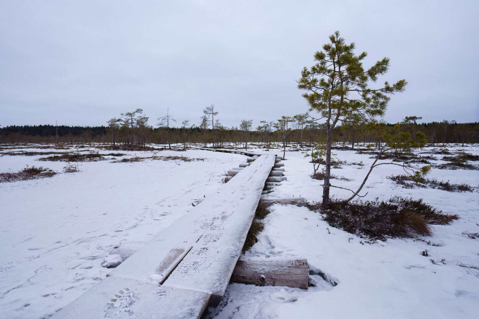 Meteo Finlandia: neve e venti gelidi travolgono Lapponia e Carelia