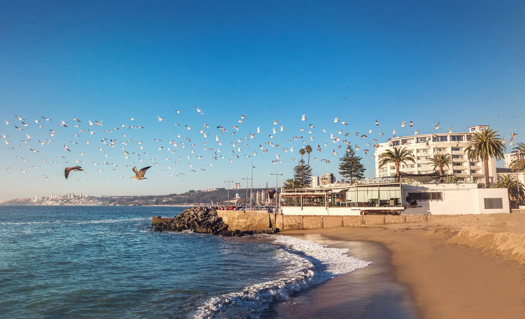 Viña del Mar: gioiello costiero tra lusso, natura e cultura