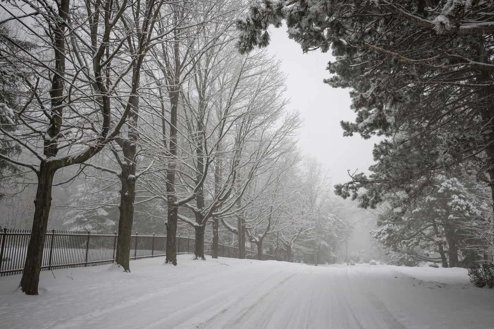 Meteo Canada: bufera di neve e venti a 110 km/h a maggio