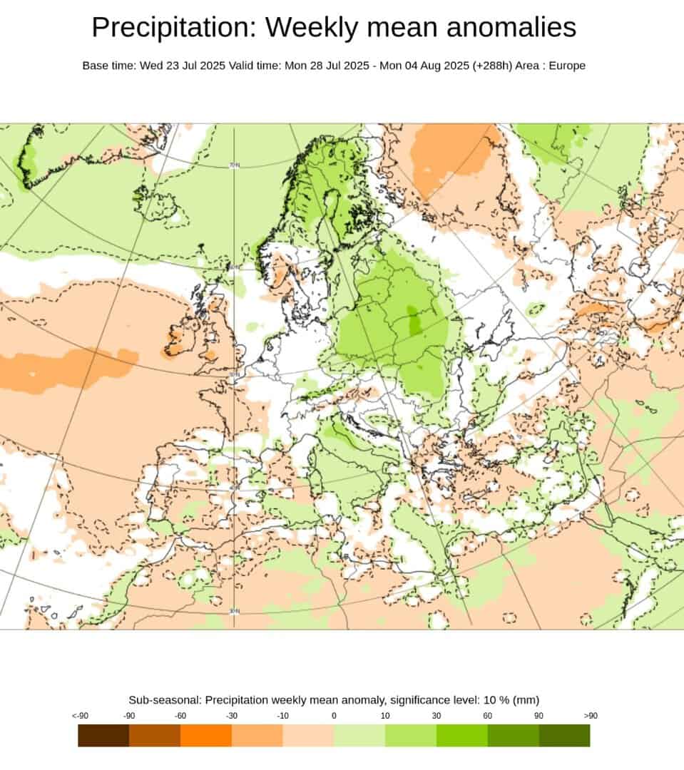 ECMWF anomalie precipitative 4 agosto 