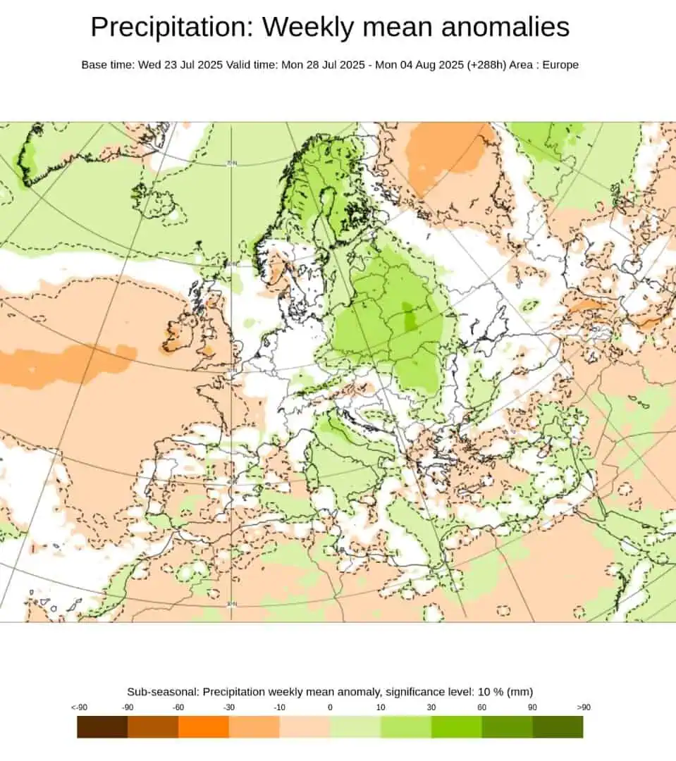 ECMWF anomalie precipitative 4 agosto