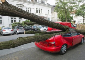 Un albero caduto su un auto a seguito di un uragano extratropicale a  Düsseldorf, in Germania.