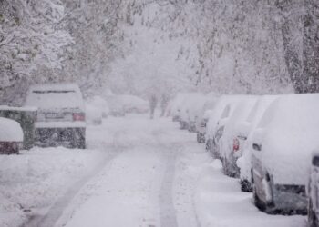 Novembre è facilmente invernale, con nevicate improvvise, ma anche periodi miti.