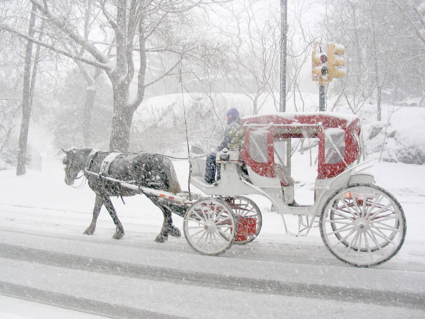 Nord America, arriva un’ondata di gelo tipica di Dicembre, con neve