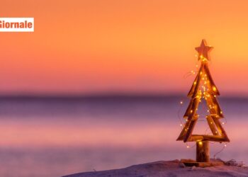 ID 164431216 © 
Showface | Dreamstime.com