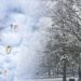 Capovolgimento dell'inverno possibile verso fine anno