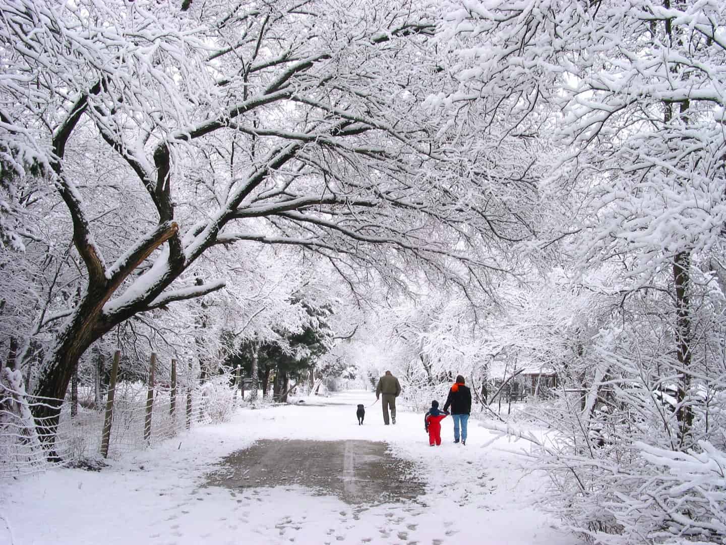 Diretta Meteo: neve fino a 300 metri al Nord-Ovest e Alpi. Forti piogge in Liguria