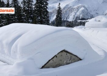 ID 84034528 © 
Themaxx23 | Dreamstime.com