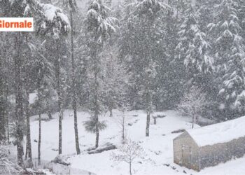 ID 141064604 © 
Parin Parmar | Dreamstime.com