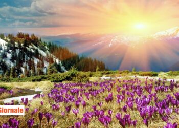 ID 44806934 © 
Panaramka | Dreamstime.com