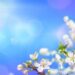 ID 108331032 ©
Romolo Tavani | Dreamstime.com