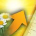 Tempo splendente dal weekend