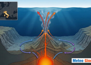Schema realizzato in libera interpretazione di Ermedio.