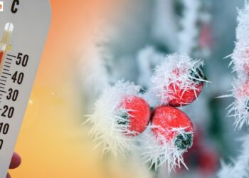 Weekend con più sole e temperature in rialzo