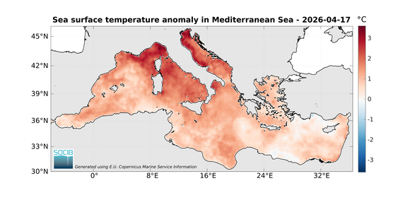 Le due immagini mostrano le temperature attuali e l'anomalia rispetto alla media. Cortesia delle immagini SOCIB.