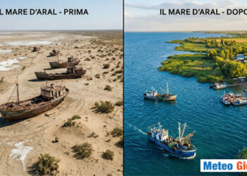 Mare d'Aral che torna a vivere