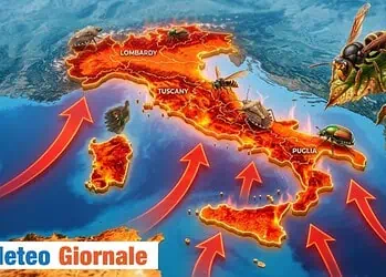 Meteo, la fiammata africana risveglia gli ‘insetti alieni’: l’allarme silenzioso nei nostri giardini da questa settimana