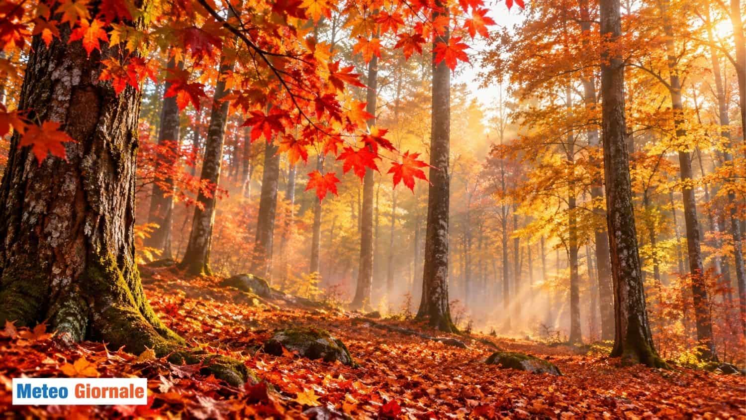 foliage in ritardo uy