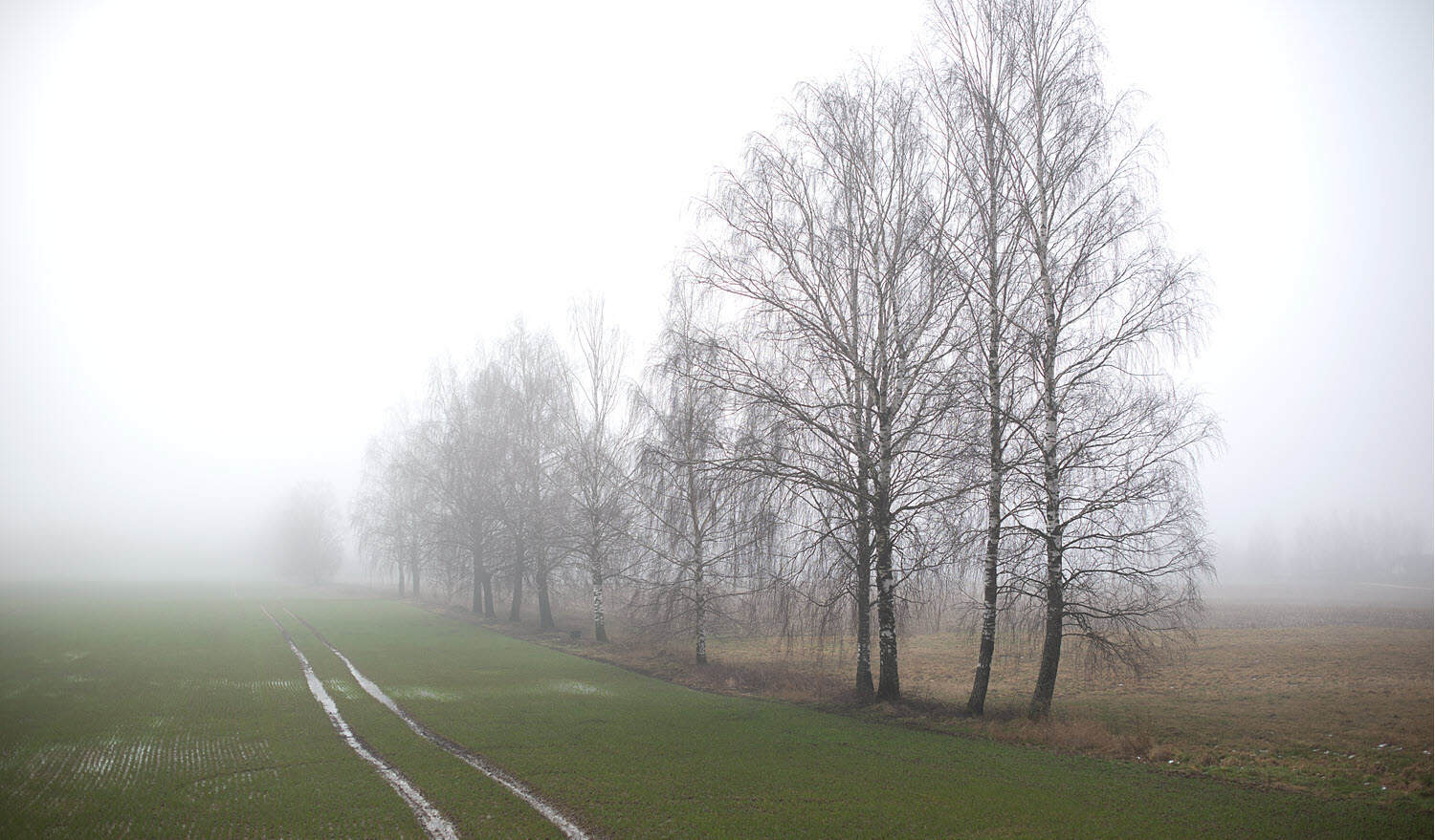 La nebbia in Valle Padana si e sensibilmente ridotta ki