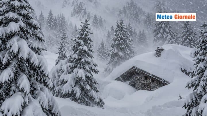 neve forte