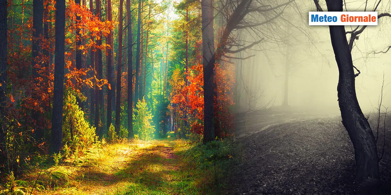 Troppo AUTUNNO o troppo poco? Dipende dai punti di vista meteo