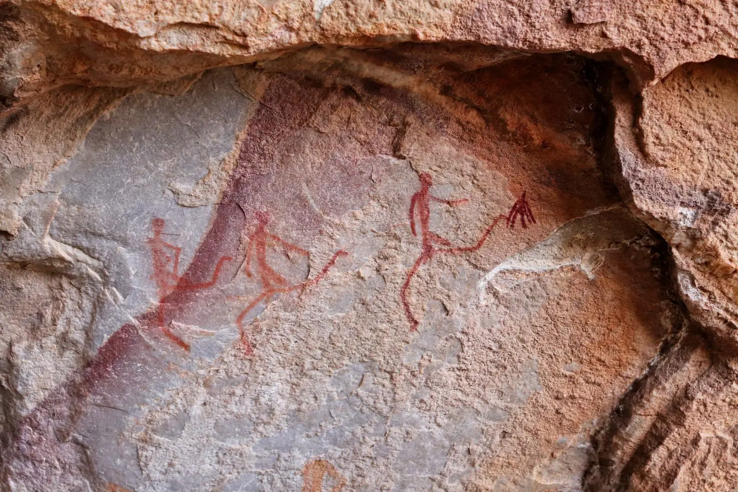 La‍ caccia ⁢preistorica non era solo un affare maschile: ​nuove​ scoperte sfidano le vecchie credenze