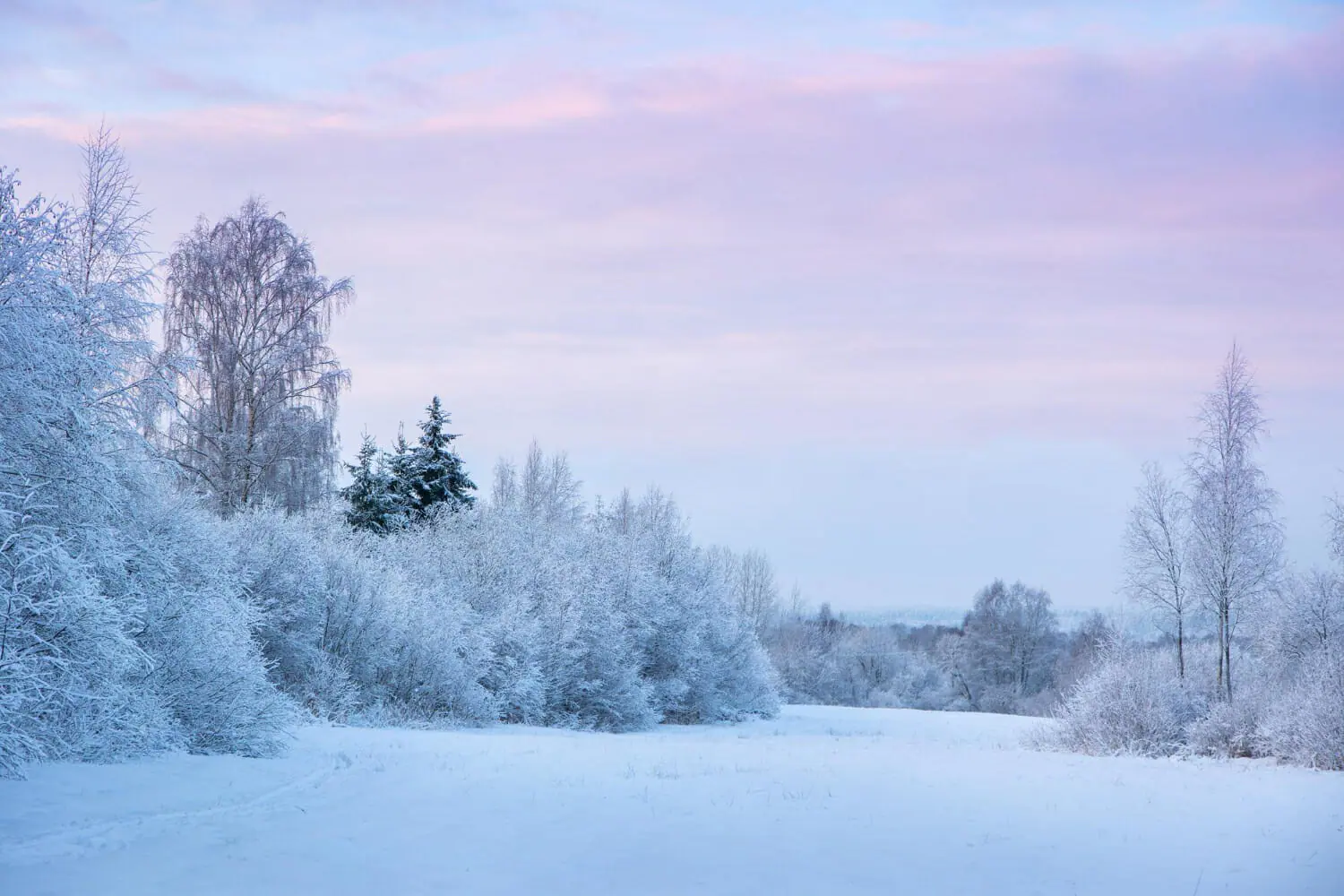 Possibile arrivo dell’inverno in Germania: 10 cm di neve il prossimo weekend?