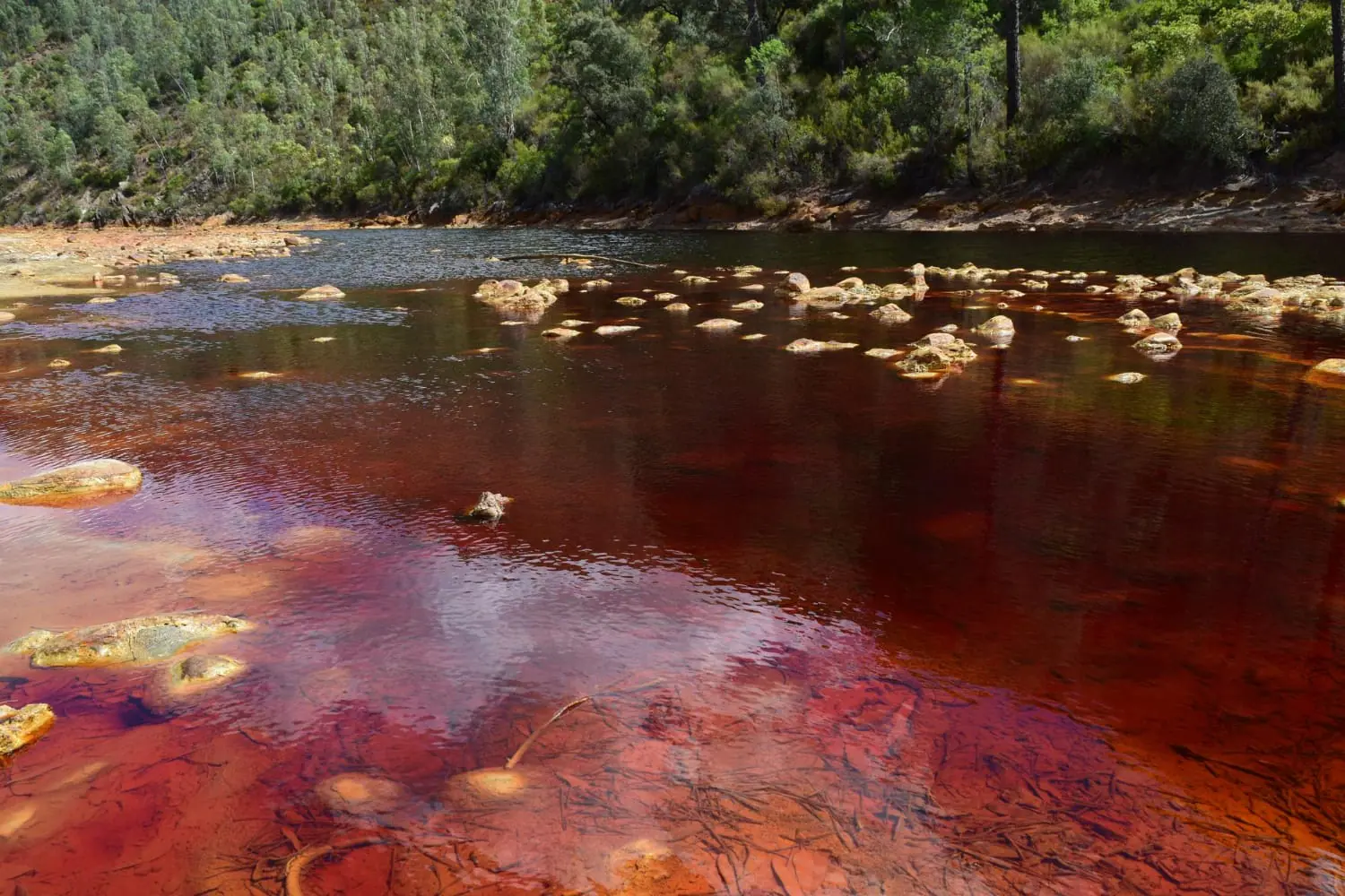 Le arterie d’acqua rosse ‌della Terra