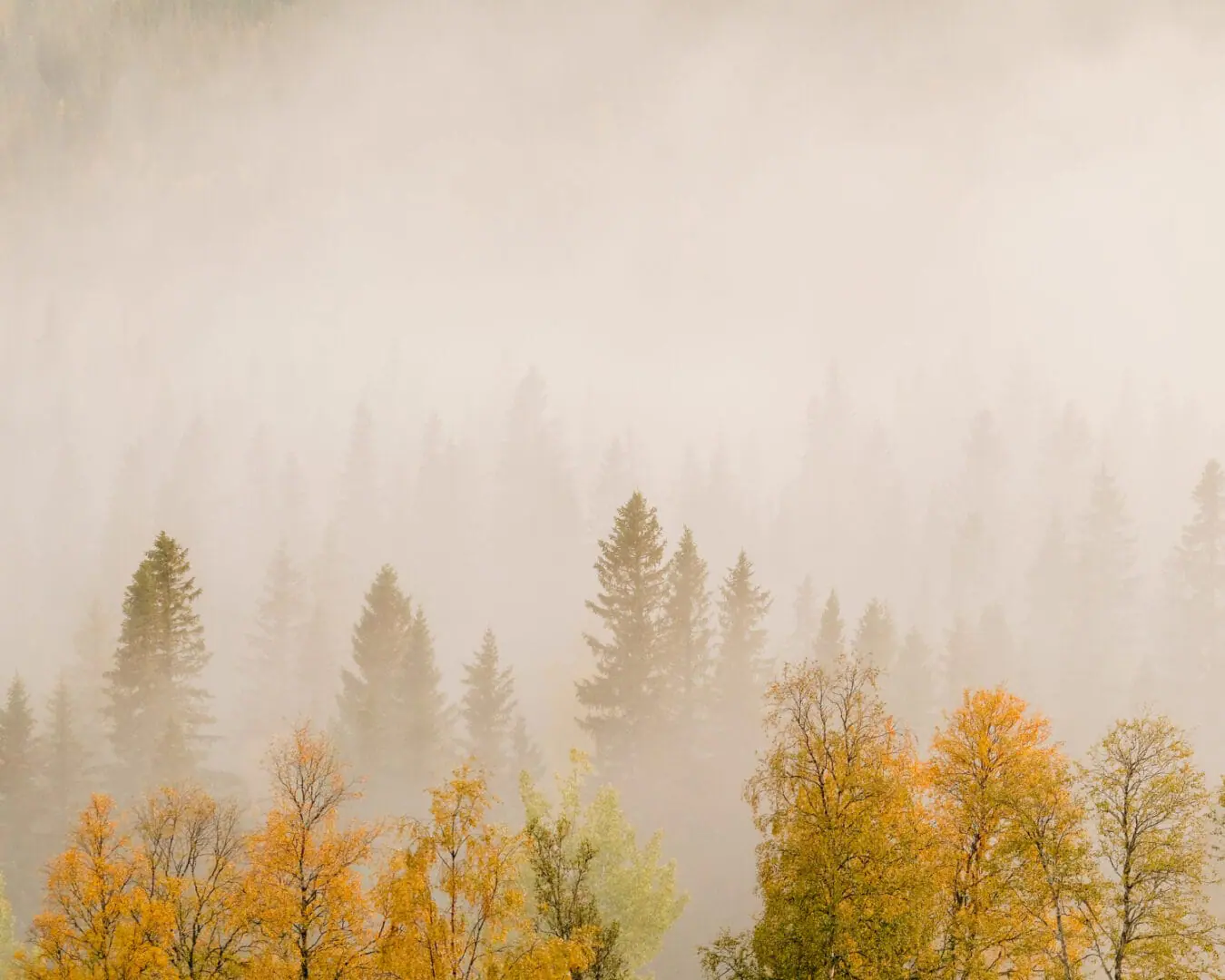 Cos’è la super nebbia e quali sono le sue cause?
