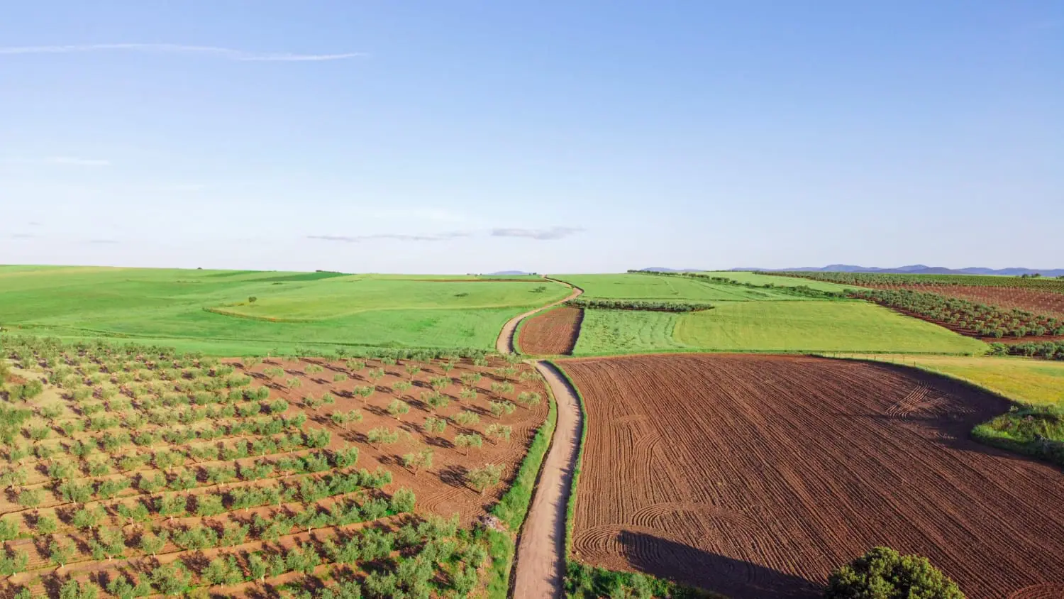 La roccia vulcanica frantumata può immagazzinare il ⁤carbonio nei ‌terreni agricoli