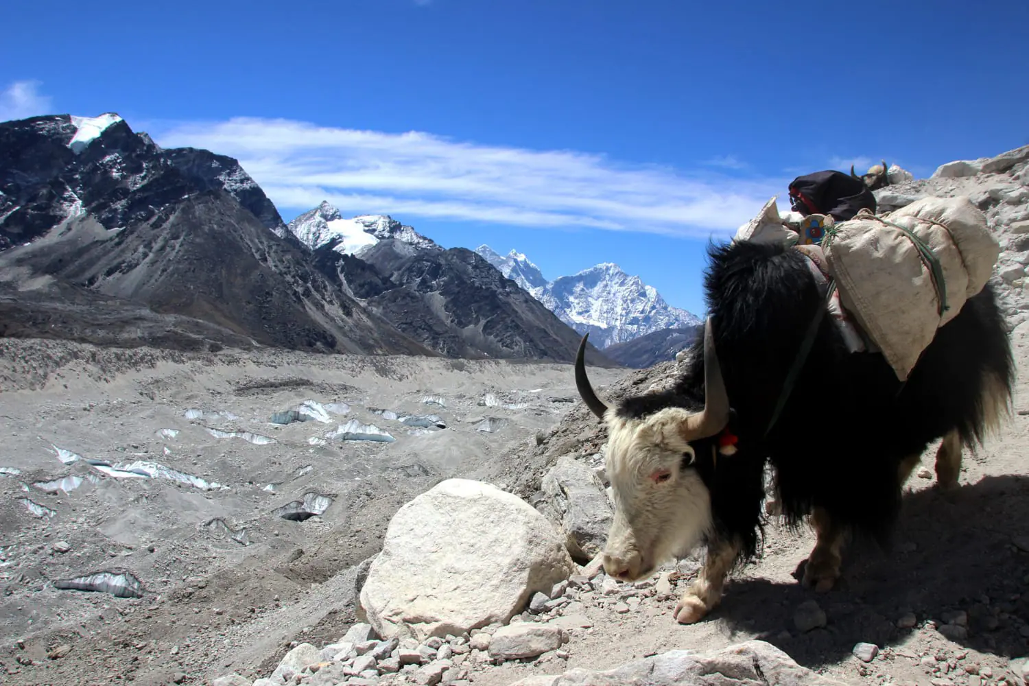 Previste condizioni climatiche più severe nel 21° secolo per l’Alta Asia montuosa