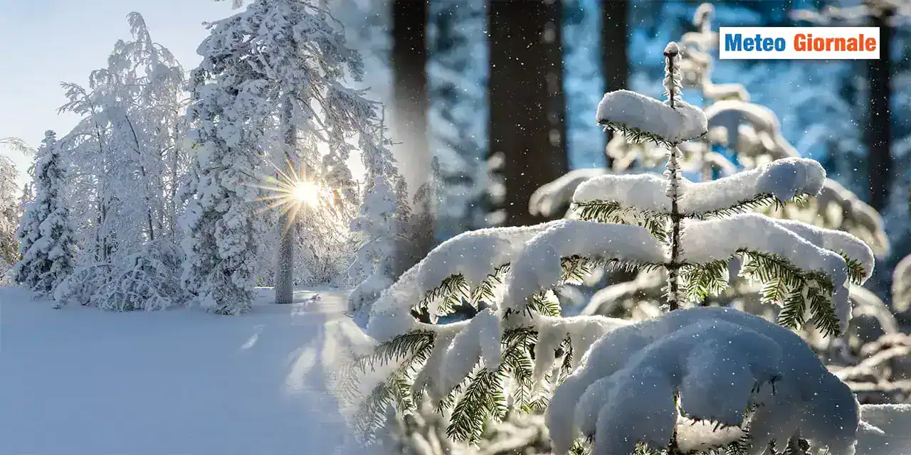 NEVE a palate? Chissà... Il meteo invernale che non ti aspetti