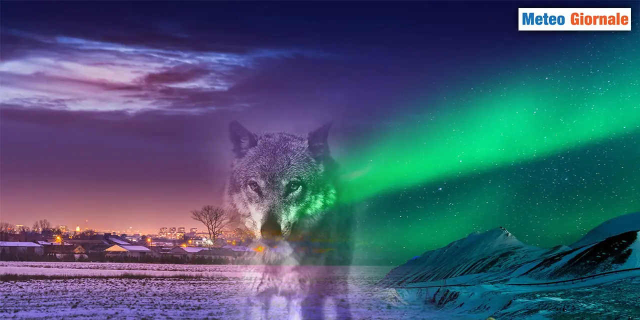 Il ritorno del Gelo Siberiano: un'Inverno dal METEO magico