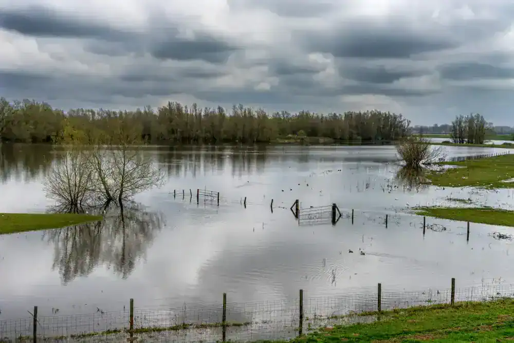 Coldiretti avverte: nuova emergenza meteo causa danni per 50 milioni nei campi