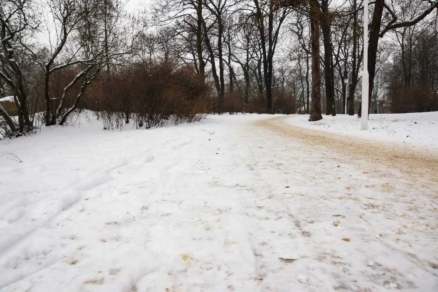 Previste abbondanti nevicate-anche a quote basse. Meteo imprevedibile