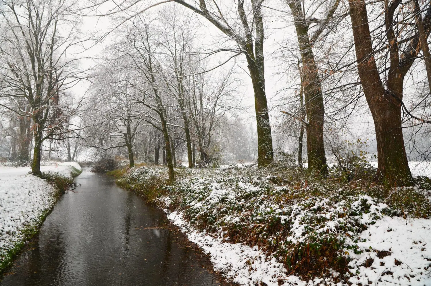 Ritardi ferroviari a causa del maltempo e arriva la prima nevicata