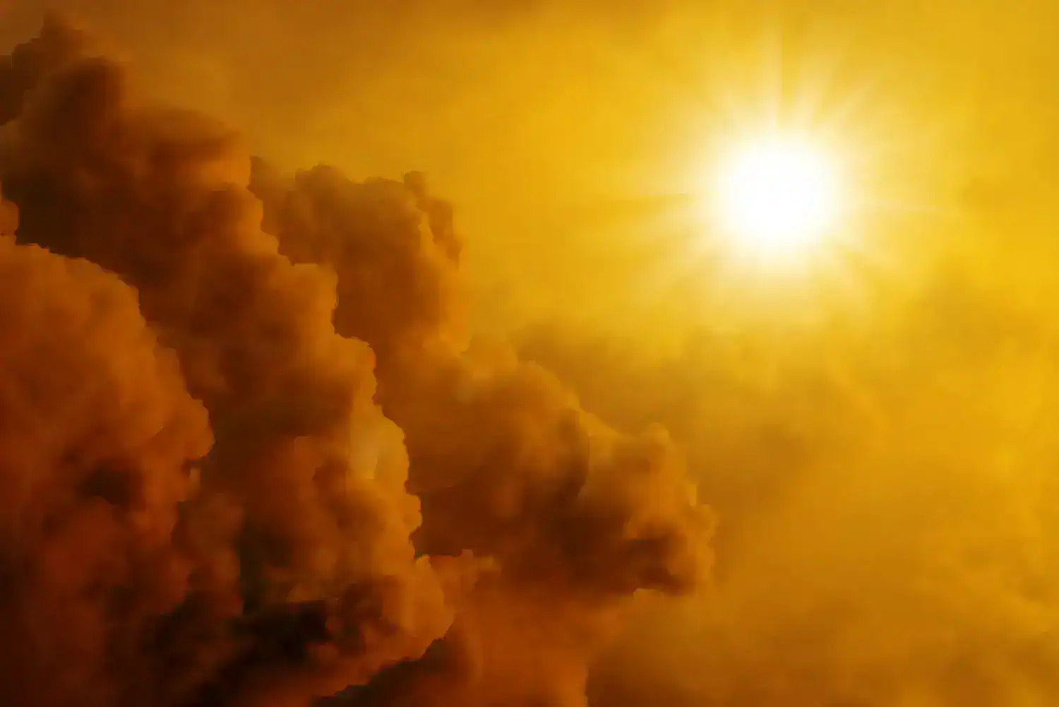 Convegno Internazionale su Cambiamento Climatico e Politiche Abitative all’Unimc