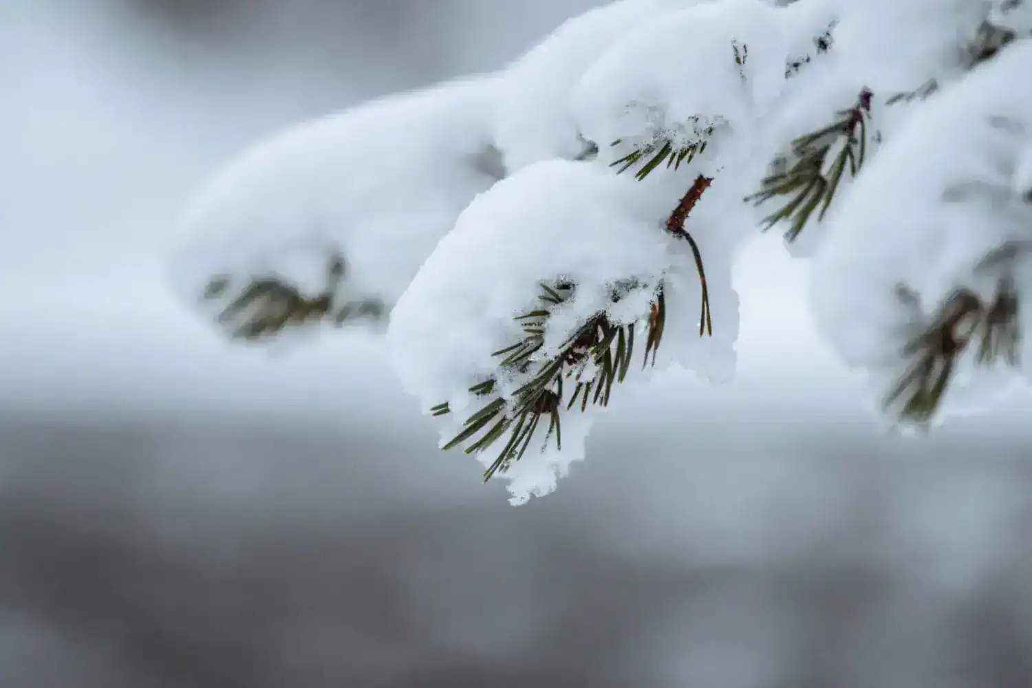 Previsioni meteo: Novembre imprevedibile tra precipitazioni-calore e prime ondate di freddo