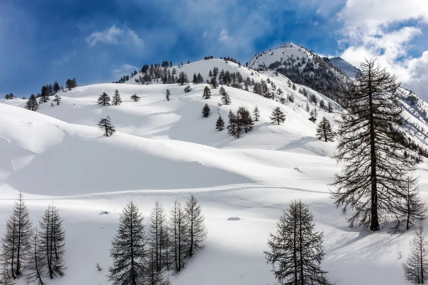 Il clima instabile continua: da temperature miti a freddo intenso in breve tempo!