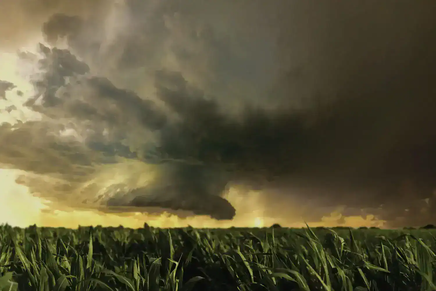 Previsioni meteo: attesi forti venti di libeccio, si raccomanda prudenza