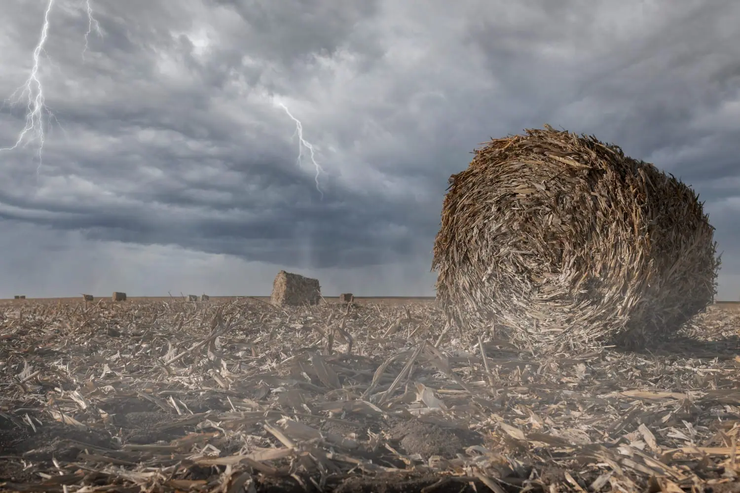 Previsioni meteo Sicilia: attese piogge-temporali e venti forti