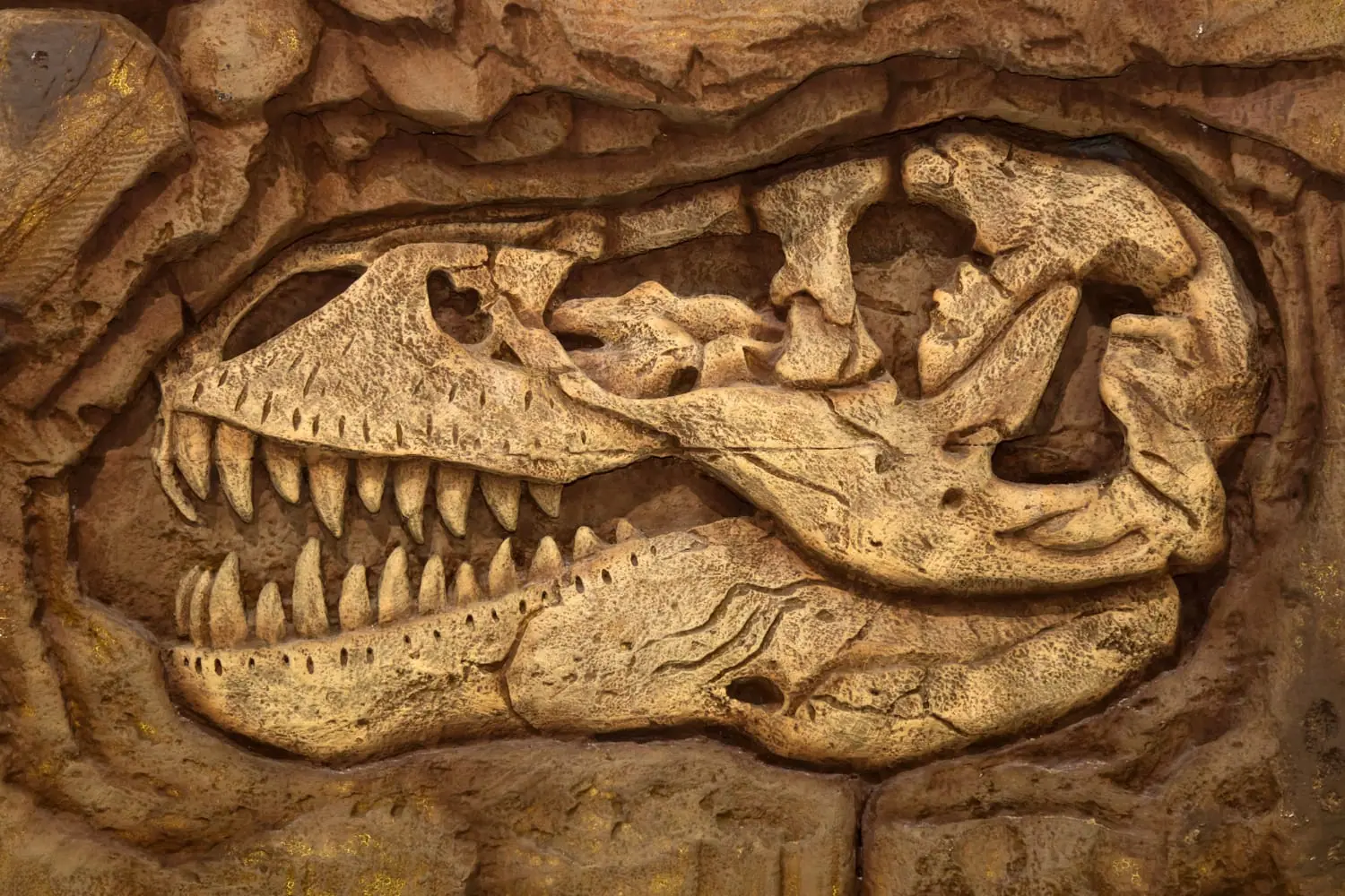 Scienziati scoprono un tesoro di fossili sotto un tubo di acque reflue